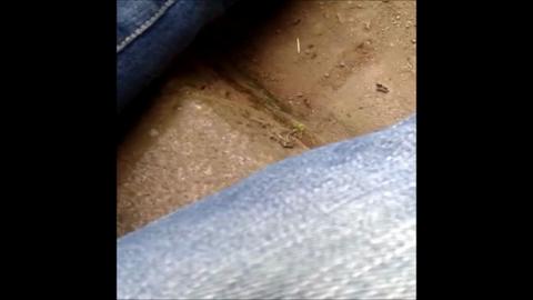 41041
