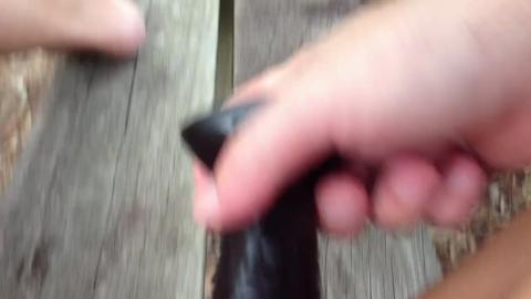 23272