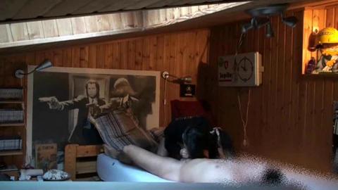 46233