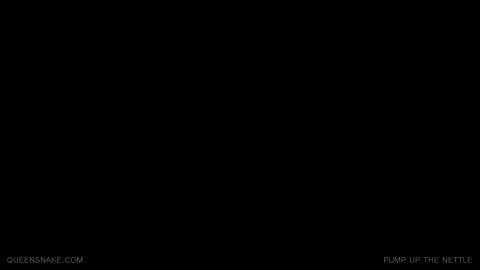 36564